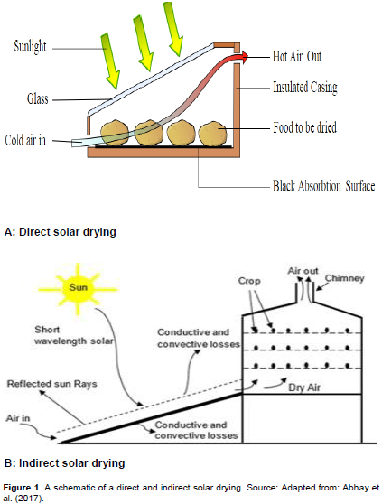 Fruit and Vegetable drying - IPCO