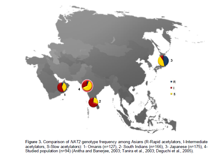 PDF) NAT2 Acetylators Gene Polymorphisms in Peruvian Populations