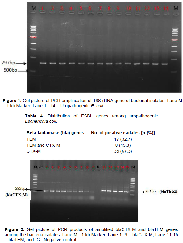 Frontiers  A Review of SHV Extended-Spectrum β-Lactamases