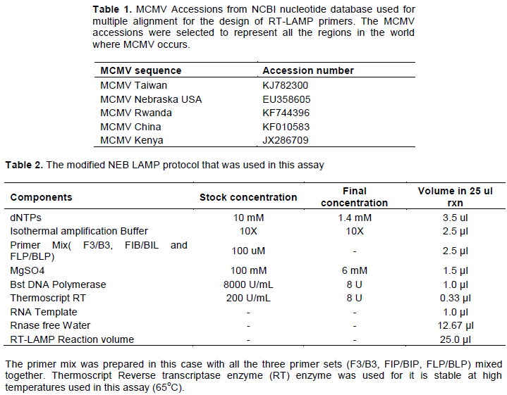 Invitrogen™ M-MLV Reverse Transcriptase (200 U/µL)