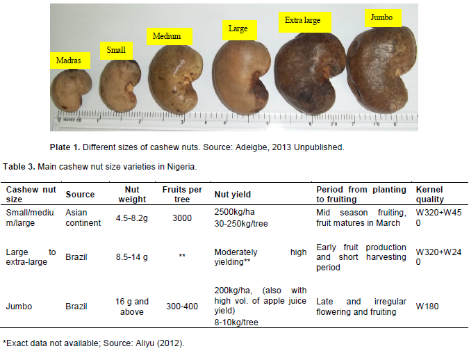 world cashew nut price